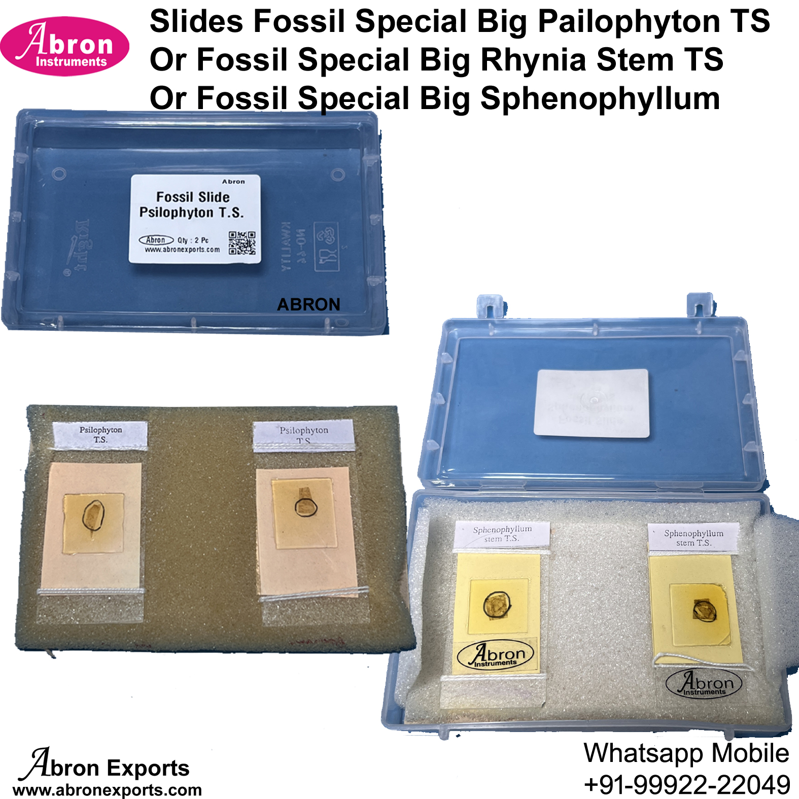 Slides Fossil Special Big Pailophyton TS Rhynia Stem TS Sphenophyllum Any One For Lab Study Abron AB-204FS 